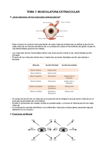 Miniatura del documento Tema-7-optometria-.pdf