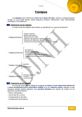 Miniatura del documento 17.pdf