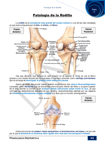 Miniatura del documento 5.pdf