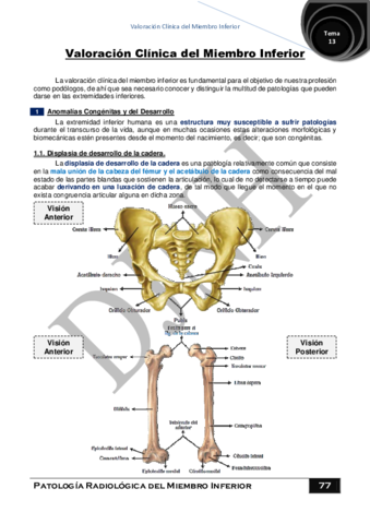 Miniatura del documento 13.pdf