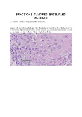 Miniatura del documento PRACTICA-9.pdf