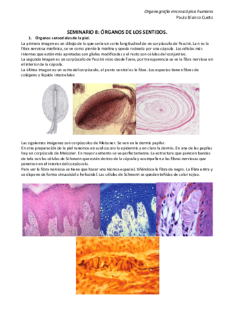 Miniatura del documento SEMINARIO-8.pdf