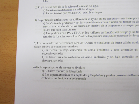 Miniatura del documento IMG0165.jpg