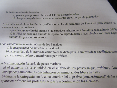 Miniatura del documento IMG0168.jpg