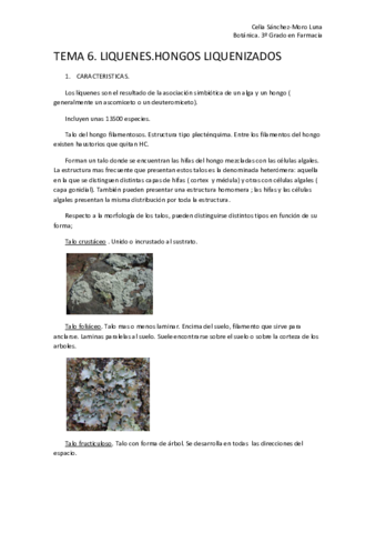 Miniatura del documento TEMA 6.pdf