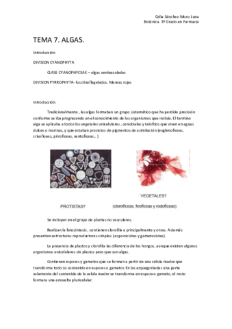 Miniatura del documento TEMA 7.pdf