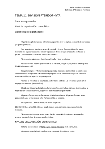 Miniatura del documento TEMA 11.pdf