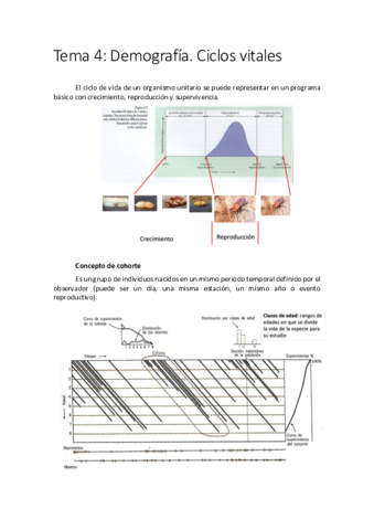 Miniatura del documento Tema-4.pdf