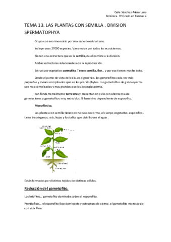 Miniatura del documento TEMA 13.pdf