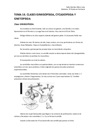 Miniatura del documento TEMA 16.pdf