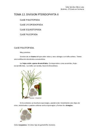 Miniatura del documento TEMA 12.pdf