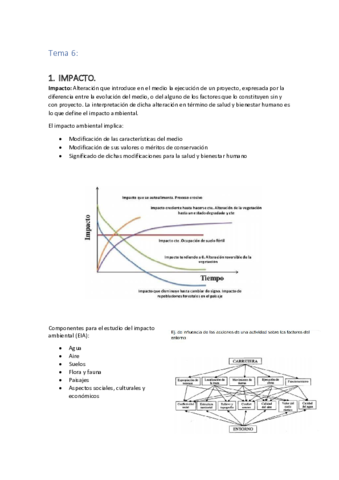 Miniatura del documento Tema-6.pdf