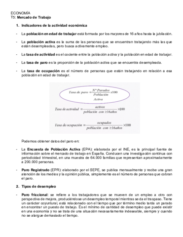 Miniatura del documento ECONOMIA-T5.pdf