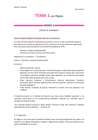 Miniatura del documento Tema-1-Los-litigios.pdf