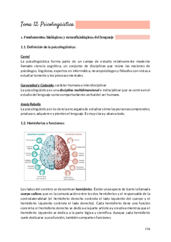 Miniatura del documento 12.pdf