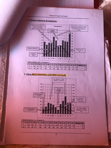 Miniatura del documento WhatsApp-Image-2021-01-13-at-17.jpg
