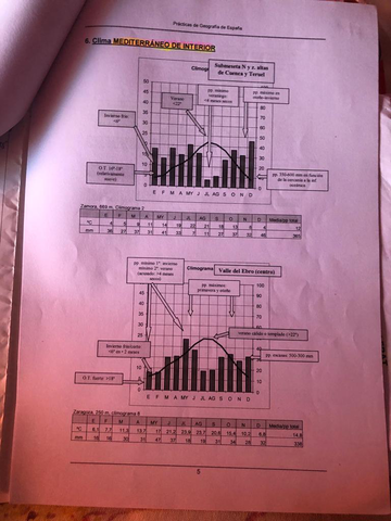 Miniatura del documento WhatsApp-Image-2021-01-13-at-17.jpg
