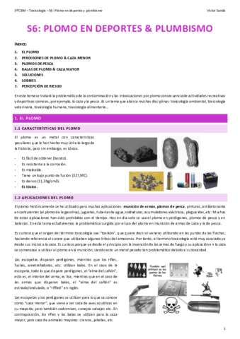 Miniatura del documento T-S6-Plomo-en-deportes-y-plumbismo.pdf