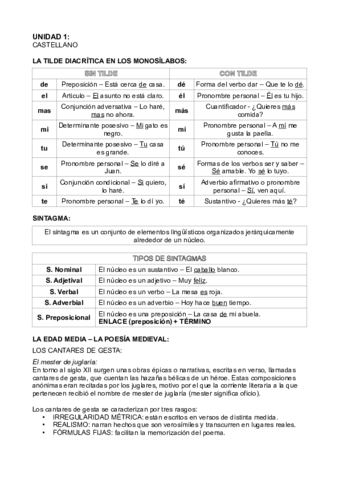 Miniatura del documento UNIDAD-1-CASTELLANO.pdf