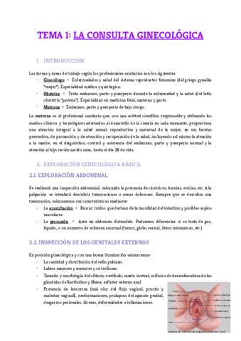 Miniatura del documento Tema-1.pdf