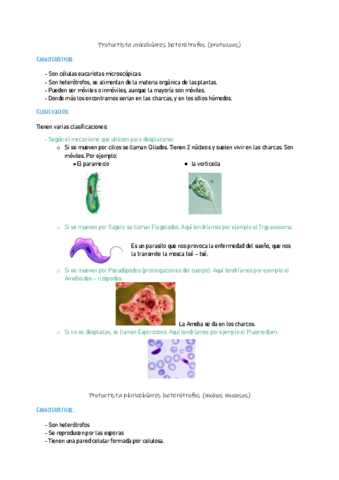 Miniatura del documento BIOLOGIA2-14.pdf