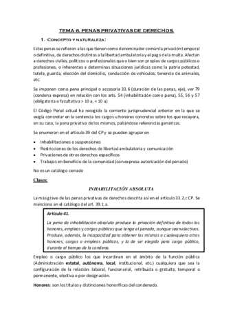 Miniatura del documento TEMA-6-Penas-privativas-de-derechos.pdf