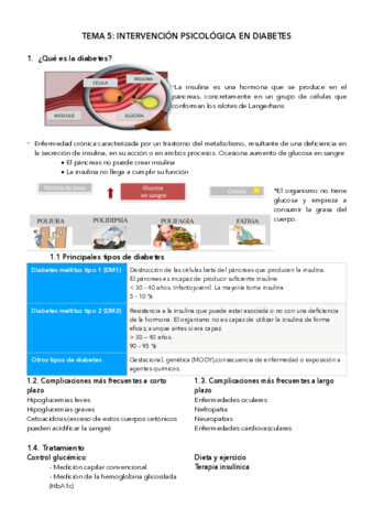 Miniatura del documento tema-5-diabetes.pdf