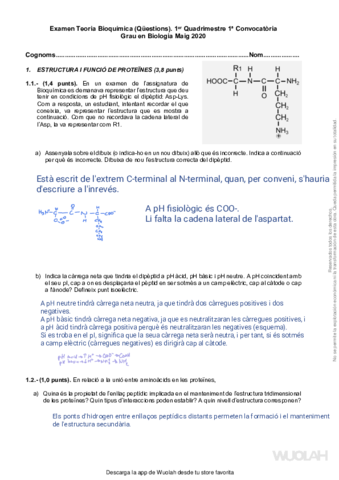 Miniatura del documento wuolah3143347u0d4wk95.pdf