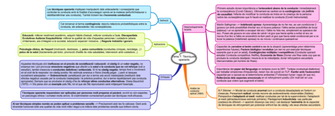Miniatura del documento Tema-7-Tecniques-operants.pdf