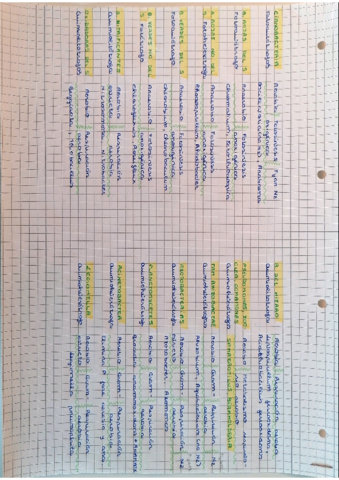 Miniatura del documento Tabla-Bacterias-y-Arqueas.pdf