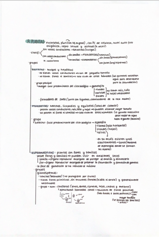 Miniatura del documento reino-V.png