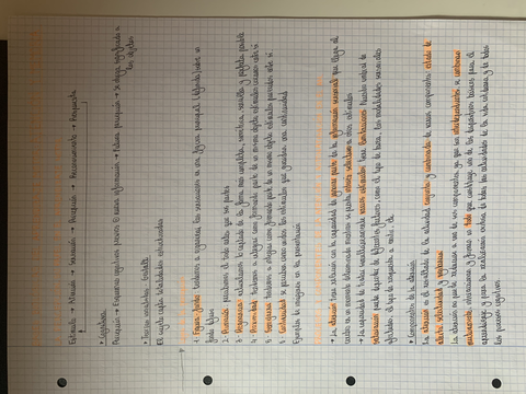 Miniatura del documento IMG-5084.jpg