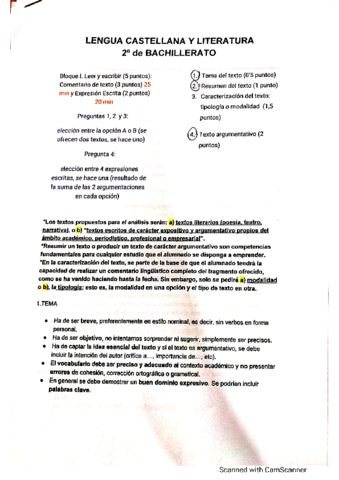 Miniatura del documento Castellano-MIRE.pdf