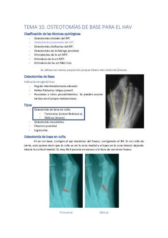 Miniatura del documento TEMA10.pdf