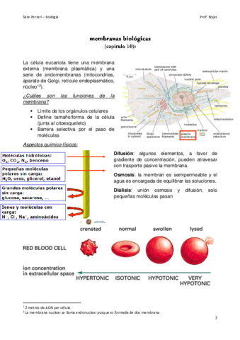 Miniatura del documento biologia.pdf