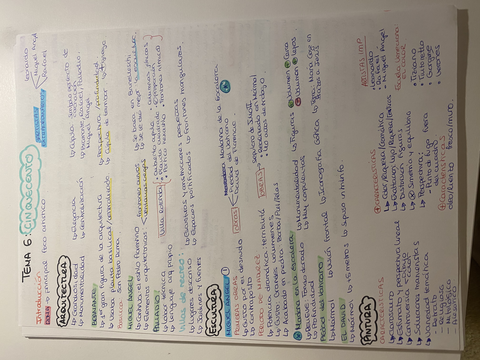 Miniatura del documento C53F2E5D-1FC9-4B77-BA53-DCF9A7366AED.jpg