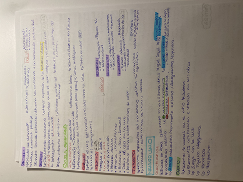 Miniatura del documento 65590FF0-8549-4DFA-88C9-54C993A05C3B.jpg