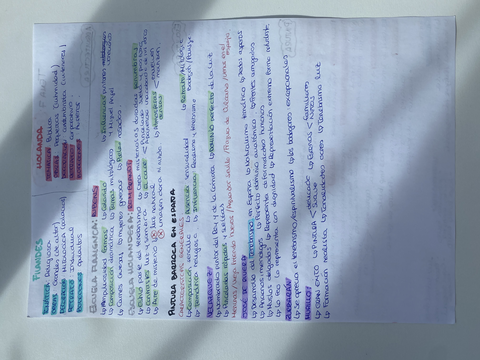 Miniatura del documento 2BE12FFD-BBC6-46E5-A4EE-737DBC62ABD6.jpg