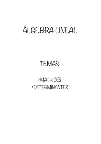 Miniatura del documento Algebra-Lineal-Matrices-y-Determinantes.pdf