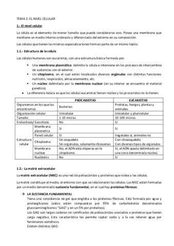 Miniatura del documento tema-2-resumen.pdf