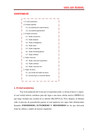 Miniatura del documento UD-3-.pdf