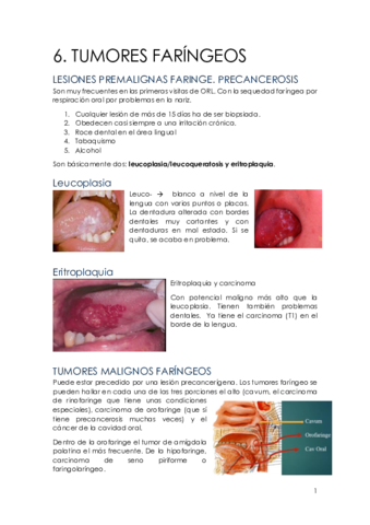 Miniatura del documento 6.pdf