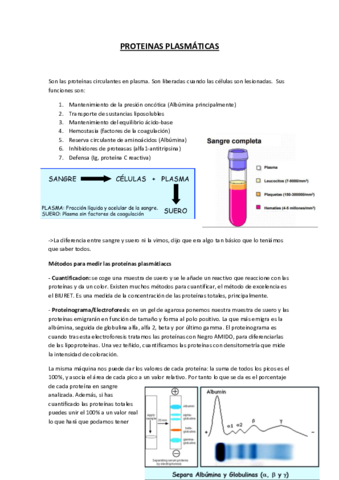 Miniatura del documento PROTEINAS PLASMÁTICAS.pdf