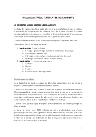 Miniatura del documento TEMA-1-ESPACIO-TURISTICO.pdf