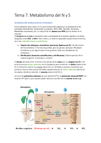 Miniatura del documento Tema-7.pdf