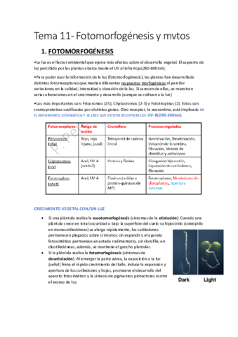 Miniatura del documento Tema-11.pdf