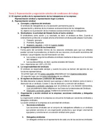 Miniatura del documento IDLaboralTema2.pdf