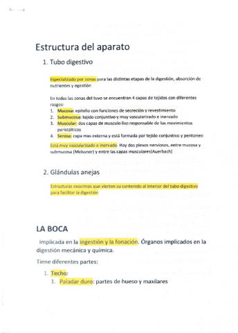Miniatura del documento Anatomia-y-Fisiologia-Aparato-Digestivo.pdf