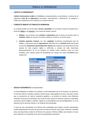 Miniatura del documento TEMA-6.pdf