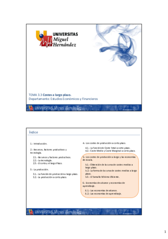 Miniatura del documento TEMA-33-La-produccion-y-los-costes.pdf